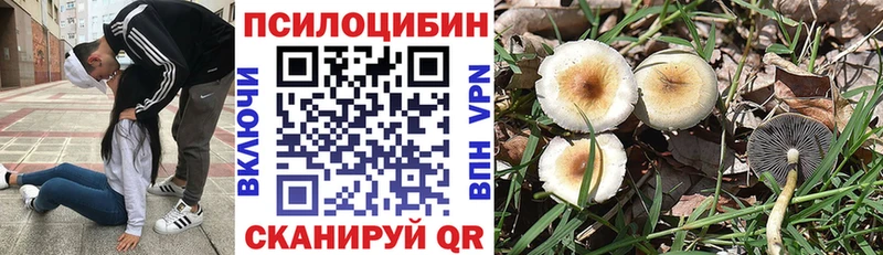 Псилоцибиновые грибы мицелий  ссылка на мегу ONION  Кохма 